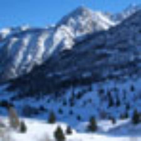 Mahaprabhu Mistanna Bhandar